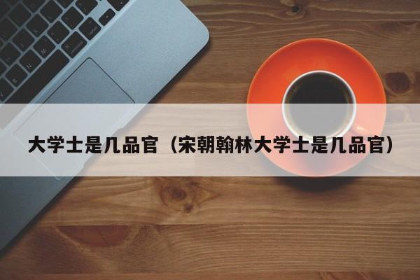 大学士是几品官（宋朝翰林大学士是几品官）