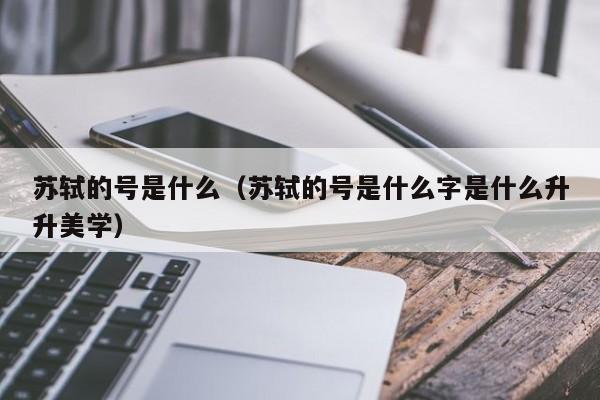 苏轼的号是什么（苏轼的号是什么字是什么升升美学）