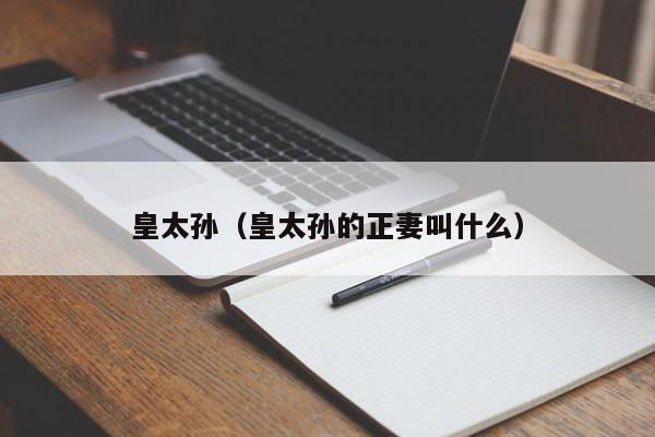 皇太孙（皇太孙的正妻叫什么）