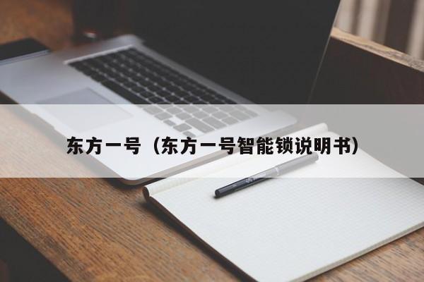 东方一号（东方一号智能锁说明书）