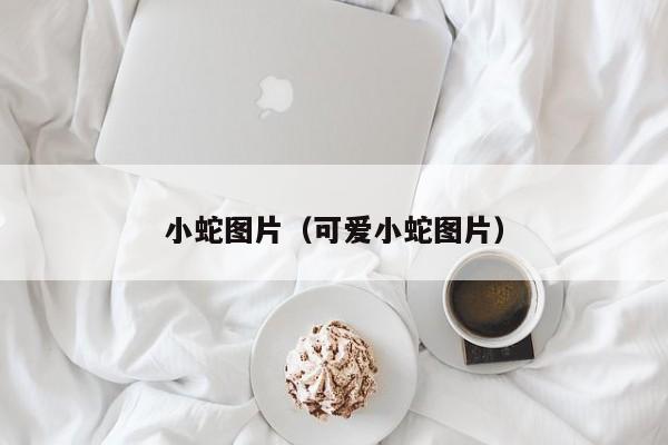 小蛇图片（可爱小蛇图片）