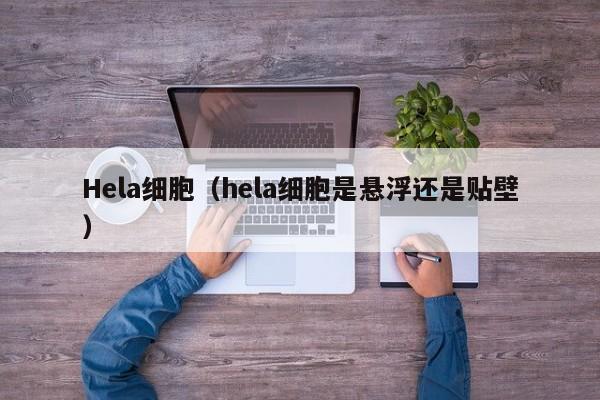 Hela细胞（hela细胞是悬浮还是贴壁）