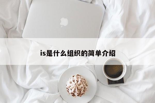 is是什么组织的简单介绍