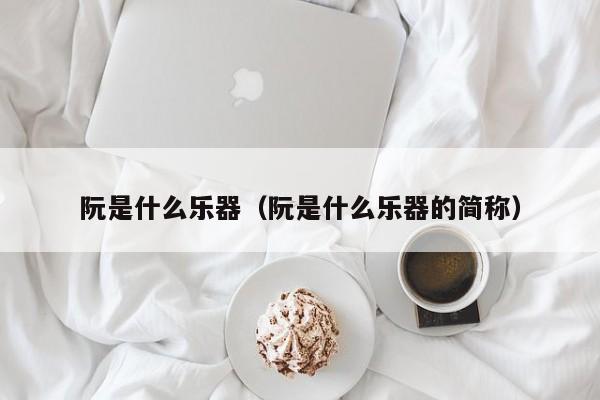 阮是什么乐器（阮是什么乐器的简称）