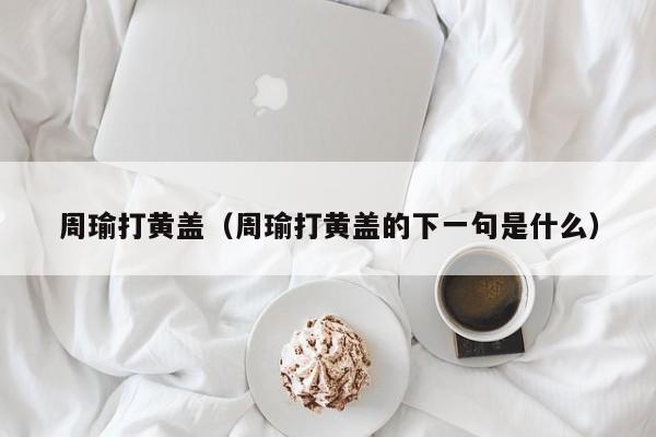 周瑜打黄盖（周瑜打黄盖的下一句是什么）