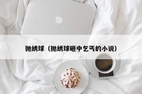 抛绣球（抛绣球砸中乞丐的小说）