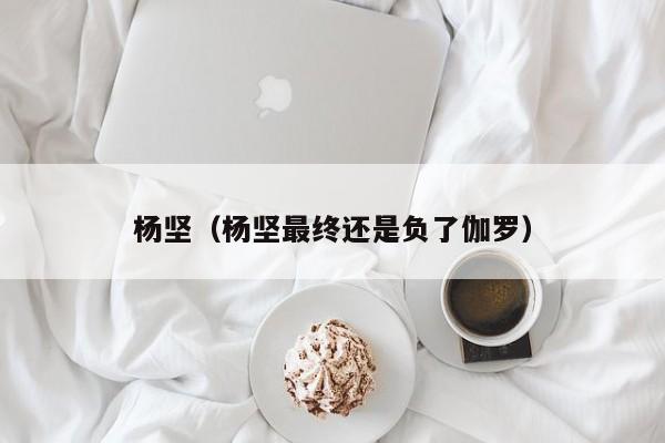 杨坚（杨坚最终还是负了伽罗）