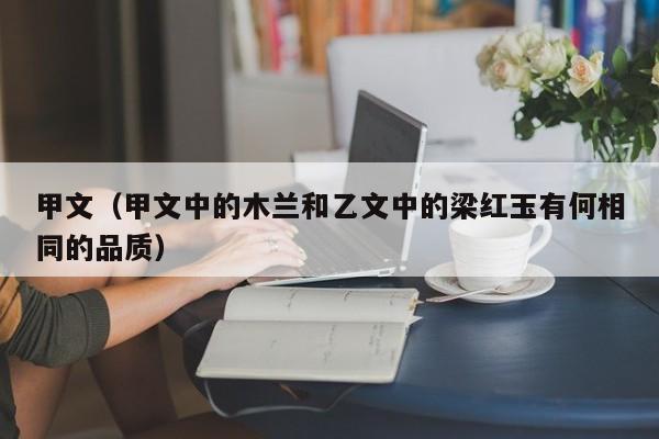 甲文（甲文中的木兰和乙文中的梁红玉有何相同的品质）